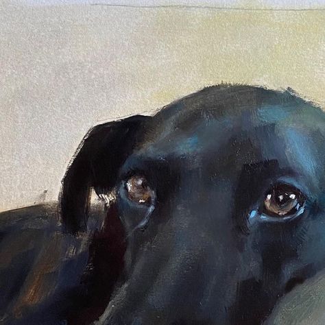 Sarah Halliday on Instagram: "Lovely dog for tonight’s post. This one is oil on paper. #dogart #dogpainting #animalart #animalpainting #sighthound #sighthoundlove #lurcher #brushstrokes #creativeuprising #paintanyway #oilpainting #oilsketch #oilonpaper #allaprima #scottishart" Black Lab Oil Painting, Black Dog Acrylic Painting, Black Lab Watercolor, Black Dog Painting, Black Lab Painting, Hsc Art, Insta Bio, Grey Painting, Puppy Stuff