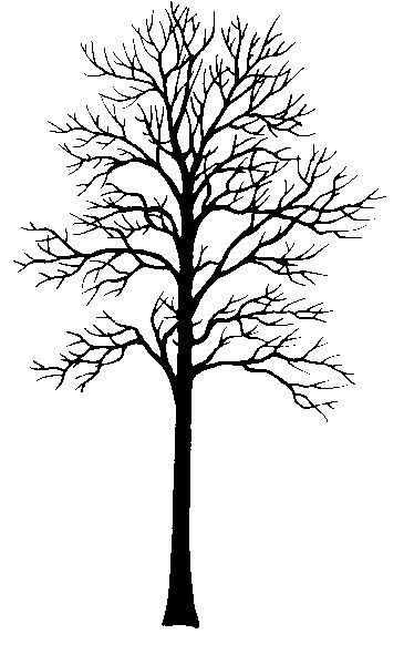 Silhouette - tulip-tree | Trees | Clipart library - Clip Art Library Tree Silhouette Art, Tree Silloutes, Tree Silhouette Printable, Clip Art Library, Tree Clipart, Silhouette Clip Art, Black Tree, Wood Burning Patterns, Tree Silhouette