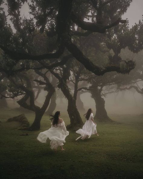 숲 사진, Ethereal Aesthetic, Fotografi Vintage, Dreamy Photography, Foggy Forest, Foto Poses, Photos Hd, Witch Aesthetic, Fantasy Aesthetic