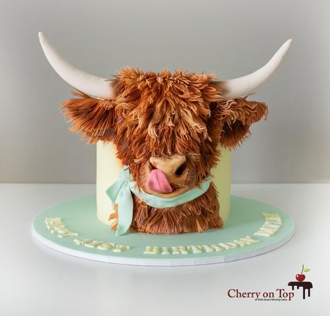 Highland Cow Cake, Cow Birthday Cake, Cow Cupcakes, Cow Cake, Cow Cookies, Lollipop Cake, Cow Cakes, Vanilla Bean Cakes, Cow Baby Showers