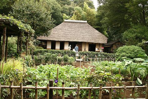 Old+Japanese+House | Old Japanese farm house | Flickr - Photo Sharing! Vintage Japanese House, Agricultural Anarchy, Japanese Countryside House, Japanese Country House, Japan Farm, Environment Composition, Japanese Farm, Japanese Farmhouse, Japanese Neighborhood