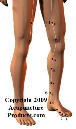 Acupuncture Spleen Meridian SP Spleen Meridian, Rectus Abdominis Muscle, Gastrocnemius Muscle, Meridian Points, Healing Codes, Acupuncture Points, Reflexology, Beauty Spa, Acupressure