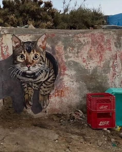 Cat Mural, Street Art Utopia, Sidewalk Art, Street Mural, Street Wall Art, Street Painting, Urban Street Art, 3d Street Art, Amazing Street Art