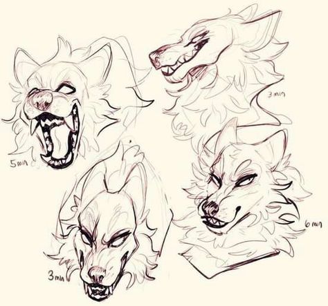 Wolf Sketch, Canine Drawing, Werewolf Art, Canine Art, Wolf Drawing, Creature Drawings, Wolf Dog, Animal Sketches, Art Poses