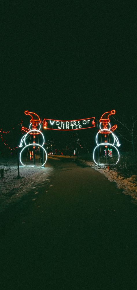 Christmas Lights Drive Through, Christmas Light Drive Thru, December Mood, Christmas Lights Outside, Christmas Light Show, Christmas Light Displays, Drive Thru, Drive Through, Christmas Display