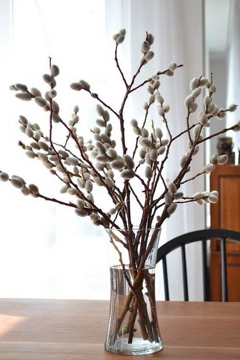 Amazing-Willow-Décor-Ideas-For-This-Spring_43 Spring Decoration, Spring Family, Willow Branches, Clear Glass Vases, Deco Floral, Tall Vases, Jive, Arte Floral, Garden Flowers