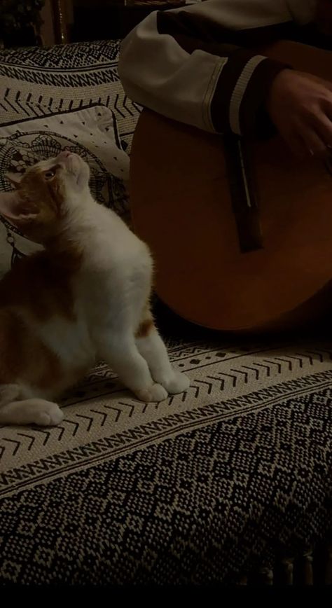 Cat And Guitar Aesthetic, Classic Guitar Wallpaper, Guitar Classic Aesthetic, Classical Guitar Aesthetic, Classic Guitar Aesthetic, Guitar Acoustic Aesthetic, Guitar Wallpaper Aesthetic, Aesthetic Guitar Wallpaper, Music Astethic