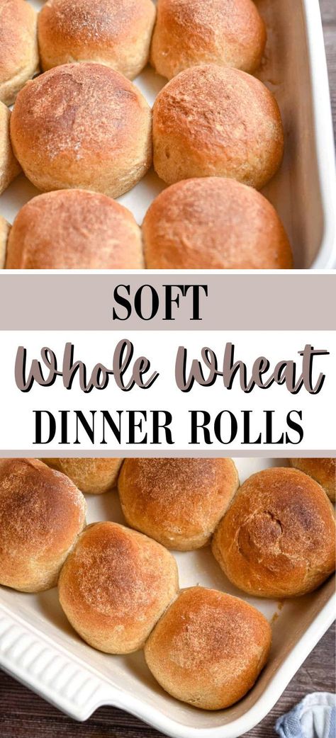 Soft and buttery, these fluffy Whole Wheat Dinner Rolls are so easy to make and much better than anything you would get in the store! In only a few hours, you'll have the most delicious rolls to serve with your dinner! Whole Wheat Rolls Recipe, Wheat Rolls Recipe, Whole Wheat Dinner Rolls, Wheat Dinner Rolls, Wheat Rolls, Whole Wheat Rolls, Best Bread Recipe, Dinner Rolls Recipe, Amazing Recipes