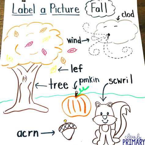 Labeling Pictures in Kindergarten & Beyond Labeling Worksheets Kindergarten Free, Fall Writing Kindergarten, Afterschool Crafts, Labeling Kindergarten, Learn English Kid, Fall Kindergarten Activities, Kindergarten Writing Activities, Kindergarten Drawing, Labeling Activities