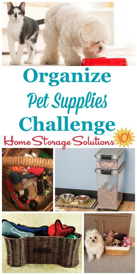 Step by step instructions for how to organize pet supplies, including pet food, treats, toys, paperwork and information and more for the animals who are part of our families and home {on Home Storage Solutions 101} #52WeekChallenge #OrganizedHome #PetSupplies Pet Organization, Pet Food Storage, Home Storage Solutions, Dog Crafts, Pet Insurance, Stuffed Animal Storage, Pet Hacks, How To Organize, Home Storage