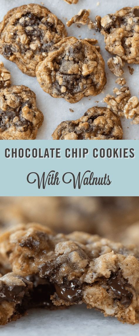 Choc Chip Walnut Cookies, Chewy Chocolate Chip Walnut Cookies, Chocolate Chip Cookies With Walnuts Recipes Easy, Chocolate Chip Walnut Oatmeal Cookies, Chocolate Chip Walnut Cookies Recipe, Chocolate Chip Cookies With Walnuts Recipes, Oatmeal Chocolate Chip Walnut Cookies, Chocolate Walnut Cookies, Walnut Chocolate Chip Cookies