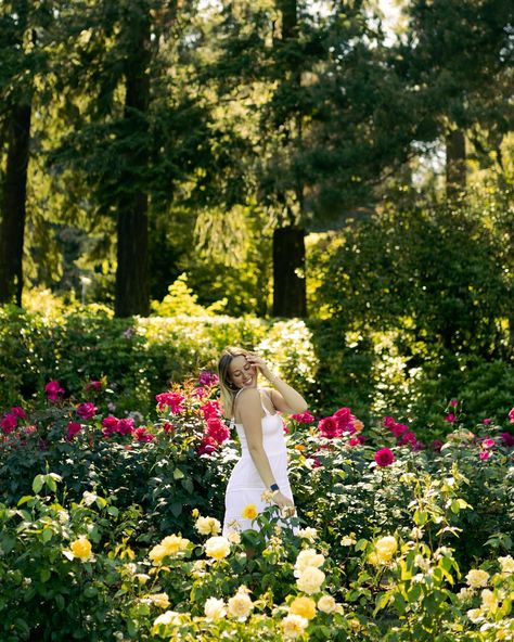 Sunny day at the rose gardens - #portlandportraitphotographer #californiaphotographer #portlandphotographers #oregon #cannonusa #sanjoseseniorphotographer #portlandrosegarden #editorialphotographers #portlandseniorphotographer #santaclaraseniorphotographer #sanjosegraduationphotographer #pdxseniorphotographer #washingtonphotographer #columbiarivergorge #dreamyphotography #santaclaraphotographer #bayareaphotographer #springphotoshoots #summerseniorphotos #taylorswift #portlandfashion #fas... Flower Garden Senior Photos, Portland Fashion, Happy 23rd Birthday, Golden Garden, Rose Gardens, Dreamy Photography, 23rd Birthday, Columbia River Gorge, Senior Photographers