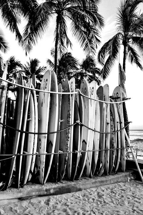 Surfboards in Hawaii Poster, Black and White, Vintage Print, Surfboard Wall Art, Beach House Decor, Beach Photography, Printable Wall Decor Surfing Wallpaper, Hawaii Poster, Surfboard Wall Art, Black And White Photo Wall, Black And White Beach, Surfboard Wall, Poster Black And White, Black And White Vintage, Shotting Photo