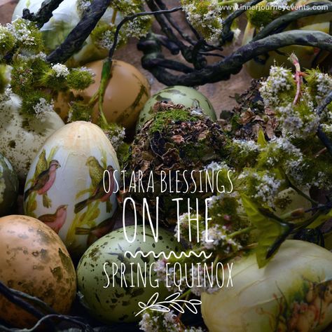 Blessed be 🌿 Ostara – the Spring Equinox – arrives at 9:30 PM Pacific Time on Saturday, March 19th (4:30 AM UTC Sunday, March 20th). Who is Ostara? Ostara – also known as Eostre o… Easter Egg Nest, Diy Easter Eggs, Eggs Image, Baby Easter Basket, Easter Nests, Vernal Equinox, Easter Images, Easter Egg Designs, Spring Equinox