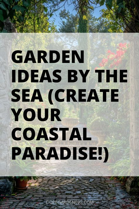 Immerse yourself in seaside serenity with coastal garden ideas by the sea! Explore marine garden design and seaside landscaping featuring salt-tolerant vegetation and shoreline perennials. Discover how to incorporate coastal plants, beachside flora, and maritime herbs into your oceanfront garden oasis. Learn about dune stabilization and waterfront greenery for a tranquil outdoor space inspired by the sea. Click for more details on creating a beautiful retreat with a touch of the coast right i... Modern Coastal Gardens Landscape Design, Seaside Plants Coastal Gardens, Beach Gardens Landscape, Coastal Garden Decor, Southern Coastal Landscaping Ideas, Coastal Rock Garden, Coastal Courtyard Ideas, Coastal Garden Design, Coastal Gardens Uk