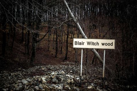 Most Haunted Appalachian Places to Visit This Halloween - Thrillist Heather Donahue, The Blair Witch Project, Witches Woods, Horror Tale, Blair Witch Project, Abandoned Asylums, Blair Witch, Ghost Lights, Psychological Horror