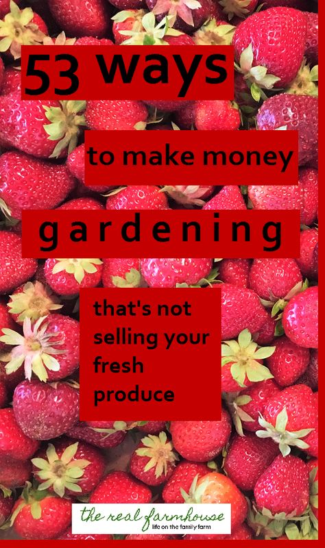 Pictures Of Gardens, Garden Business, Gardening Business, Selling Herbs For Profit, Make Money Gardening, Make Money Farming, Make Money On Homestead, How To Make Money Homesteading, Vegetable Farming Business Plan