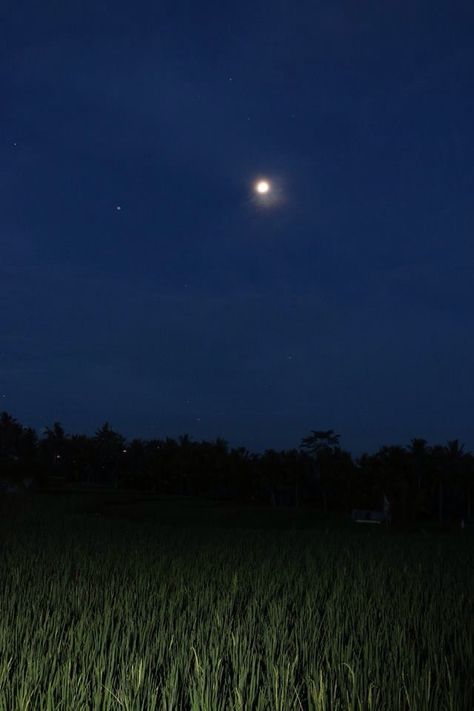 Full moon @ Dragon Fly Village, Ubud Moon Village, Moon Dragon, Bali Retreat, Dragon Fly, Ubud, Full Moon, Bali, Moon, Quick Saves