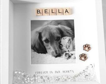 Pet Memorial Ideas Dogs, Dog Photo Frame, Dog Shadow Box, Pet Loss Dog, Pet Frame, Cat Memorial Gift, Cat Loss, Dog Frames, Pet Keepsake