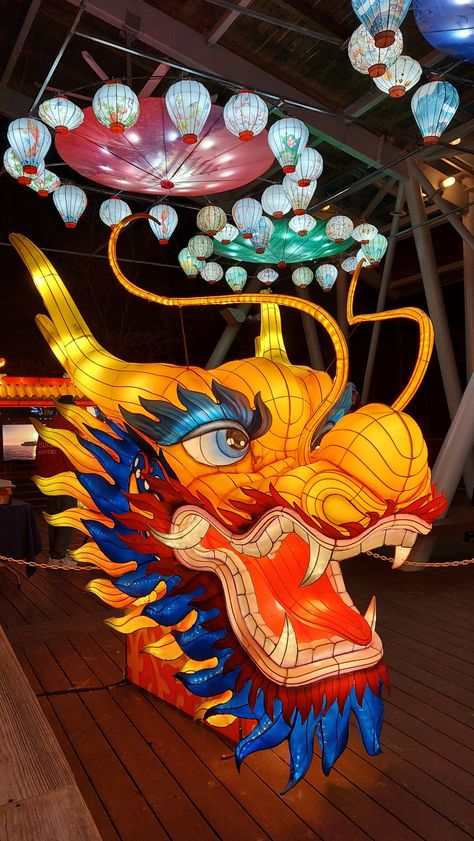 Lighting Dragon, Chinese Dragon Dance, Chinese Lanterns Diy, Dragon Lantern, Wish Lanterns, Dragon Chino, Chinese New Year Dragon, Dragon Crafts, Dragon Dance