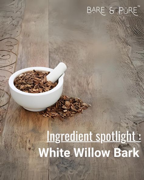 For skin that glows with natural beauty, discover the wonders of white willow bark extract. This ancient remedy soothes, heals and rejuvenates your skin with the power of salicin. Salicin is a plant-based compound that acts like aspirin and salicylic acid. . This amazing ingredient helps to gently exfoliates, soothes inflammation, minimizes pores, balances oil production and fights aging. No matter your skin type or concern, white willow bark can help you achieve a healthy, radiant complexion... White Willow Bark Tea, Willow Bark Tea, Willow Bark Extract, White Willow Bark, White Willow, Willow Bark, Oil Production, Minimize Pores, Salicylic Acid