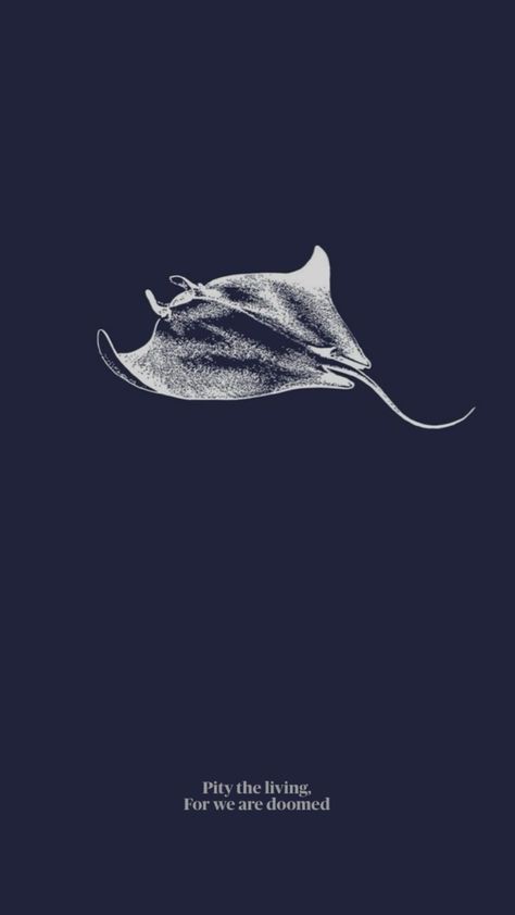 Stingray Wallpaper Aesthetic, Sting Ray Wallpaper, Sting Ray Wallpaper Aesthetic, Stingray Wallpaper, Shark Phone Backgrounds, Ombre Wallpaper Iphone, $b Wallpaper, Ombre Wallpapers, Iphone Lockscreen