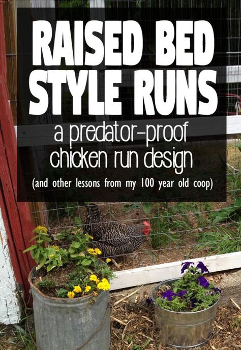 Chicken Coop Plans Free, Chicken Coop Run, Coop Design, Chicken Run, Coop Plans, Perfect Chicken, Keeping Chickens, Building A Chicken Coop, Equestrian Decor