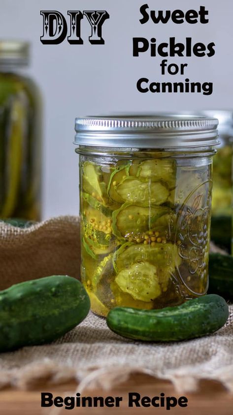 Canning Sweet Pickles, Diy Pickles, Sweet Pickles Recipe, Best Pickles, Canning Pickles, Canning Vegetables, Pickle Recipe, Pickle Slices, Refrigerator Pickles