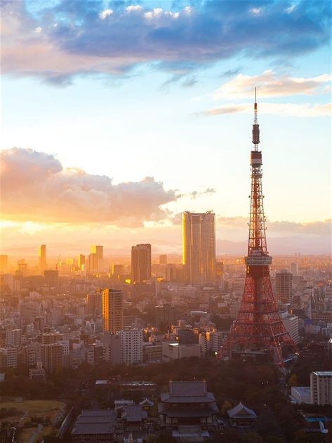 Tokyo Fall Aesthetic, Sunset In Tokyo, Tokyo In Autumn, Tokyo Autumn, Japanese Gate, Visit Tokyo, Mont Fuji, Fall Months, Bear Grylls