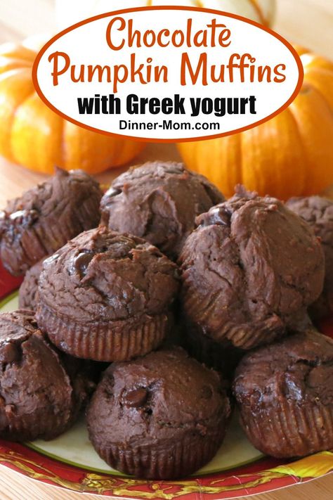 Homemade Muffins Recipe, Chocolate Pumpkin Muffins, Pumpkin Muffin Recipes, Extra Protein, Chocolate Pumpkin, Homemade Muffins, Healthy Pumpkin, Healthy Muffins, Pumpkin Muffins