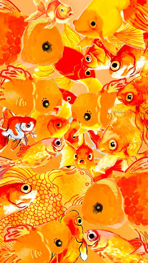 #goldfishaesthetic #goldfish #art #orange #orangecollage #orangeasthetic Goldfish Aesthetic, Goldfish Wallpaper, Goldfish Art, Orange Fruit, Photo Wall Collage, Wallpaper For Your Phone, Pretty Wallpaper Iphone, Cool Backgrounds, Phone Themes