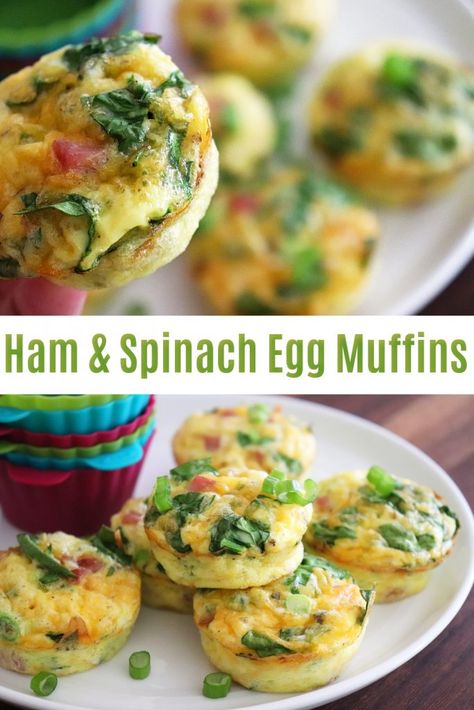 Ham And Spinach Recipes, Healthy Egg Muffins, Ham And Spinach Quiche, Ham Egg Cups, Baby Treats, Spinach Bites, Leftover Easter Ham, Fod Map, Spinach Breakfast