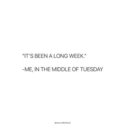 Happy Tuesday 😆 Tuesday Instagram Story, Tuesday Business Posts, This Week Quotes, Quotes About Tuesday, Tuesday Reminder Quote, Tuesday Aesthetic, Tuesday Tips Quotes, Funny Tuesday Memes Hilarious, Funny Thursday Quotes