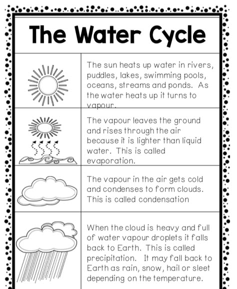 1st Grade Worksheets Science, Water Cycle Explanation, Water Cycle Preschool, Science For 2nd Grade, Earth Science Worksheets, Third Grade Science Worksheets, Water Cycle Lessons, Water Cycle Experiment, Science 3rd Grade