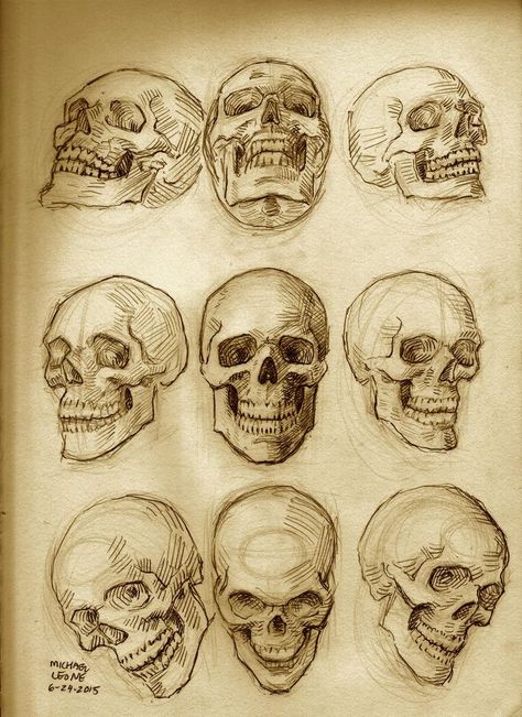 Skull Anatomy, Skull Reference, Skull Sketch, Skeleton Drawings, Skull Art Drawing, Human Anatomy Drawing, Skulls Drawing, Human Anatomy Art, Anatomy Sketches