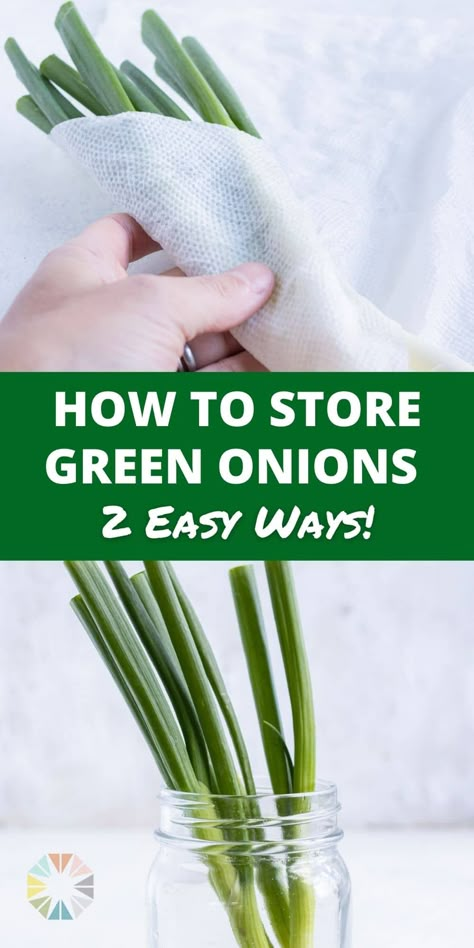 Can You Freeze Green Onions, How To Preserve Fresh Green Onions, Green Onion Storage How To Store, How To Preserve Scallions, Keeping Green Onions Fresh, How To Save Green Onions, How To Store Scallions, How To Keep Green Onions Fresh In Fridge, Best Way To Store Green Onions