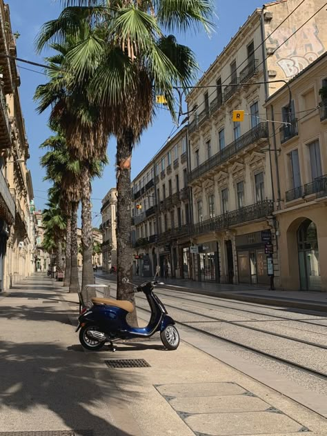 Sidewalk in Montpellier with palm trees and a scooter. Montpelier France, Interrailing Europe, France Fits, French Trip, Travelling Europe, Montpellier France, Dream Trips, French Summer, Euro Summer