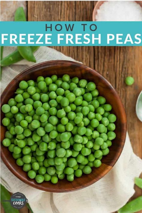 Learn all the tips and tricks for Freezing Peas to extend the harvest. Learning how to freeze peas is a great way to preserve this delicious springtime veggie without needing to know any special kitchen skills (like canning). Find out how to stock your freezer with frozen peas with or without blanching. #freezingpeas #preserving Freezing Fresh Peas, Freezing Peas From Garden, How To Freeze Peas From The Garden, How To Freeze Peas, Freezing Peas, Garden Preserving, Freezing Food Guide, Paleo Chicken Pot Pie, Snow Peas Recipe