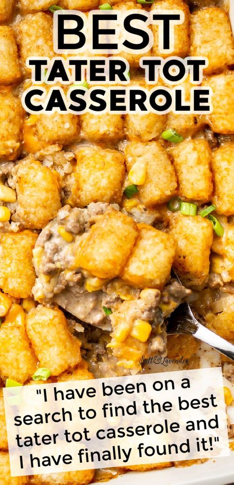 Best Tater Tot Casserole, Easy Tater Tot Casserole, Easy Tater Tots, Tater Tot Casserole Recipes, Tot Casserole, Tater Tot Casserole, Beef Casserole Recipes, Tater Tots, Supper Recipes