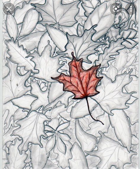 In this picture, the first thing you see is the red leaf. It is the focal point and what you are drawn to, because of the lack of color in the background. Then you notice the other leaves around it. Emphasis Art, Emphasis In Art, Focal Point Art, Notebook Art, Lack Of Color, Leaf Drawing, Elements Of Design, Art Appreciation, Pop Out