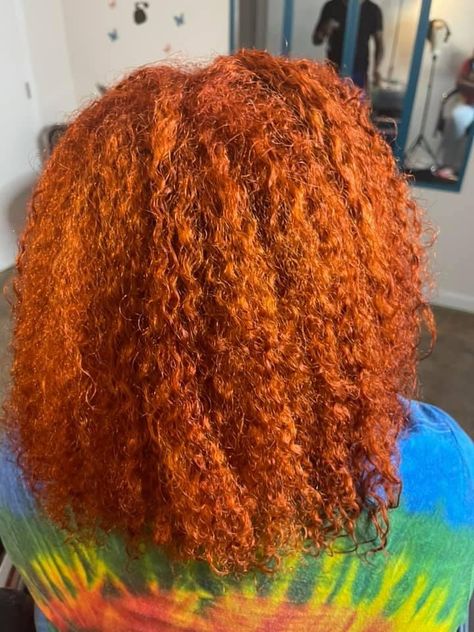 Ginger Afro 4c, Hair Dye Orange, Orange Natural Hair, Orange Dyed Hair, Ginger Orange Hair, Orange Ginger Hair, Orange Curly Hair, Ginger Hair Black Women Natural, Ginger Natural Hair Black Women