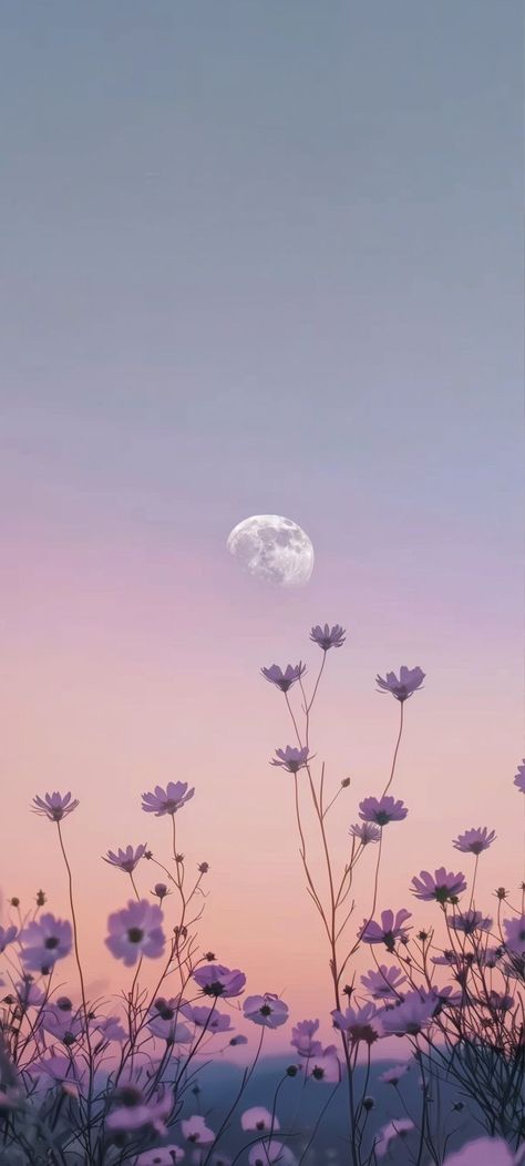 Profile Picture Aesthetic Flower, Purple Aesthetic Flowers Wallpaper, Lockscreen And Homescreen Wallpaper Set, Simple Floral Wallpaper Iphone, Iphone Lockscreen Widget Ideas, Iphone 15 Plus Wallpaper Aesthetic, Violet Sky Aesthetic, Lilac Aesthetic Wallpaper Iphone, Spring Scenery Drawing