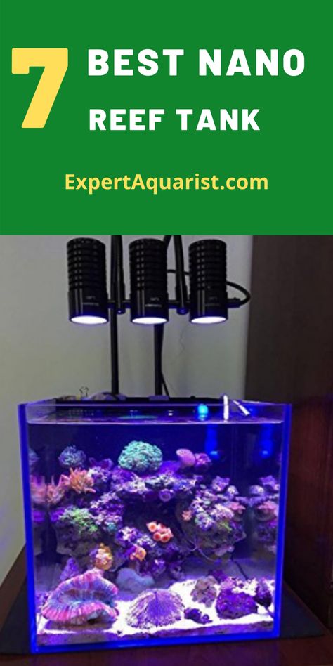 Small Saltwater Aquarium, Small Salt Water Aquarium, Nano Reef Tank Aquascaping, Salt Water Fish Tank Ideas, Small Saltwater Tank, Saltwater Tank Setup, Reef Tank Aquascaping, Saltwater Aquarium Setup, Nano Reef Tank