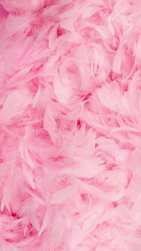 Aesthetic Peach, Tout Rose, Baby Pink Aesthetic, Pastel Pink Aesthetic, Pink Vibes, Peach Flowers, Pink Feathers, Pink Themes, Pink Wallpaper Iphone