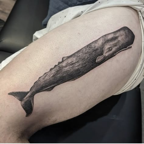 Black and gray sperm whale tattoo on a thigh Right Whale Tattoo, Sperm Whale Tattoo, Deep Sea Tattoo, Torso Tattoo Ideas, Sperm Whale Art, Sea Tattoo Sleeve, Jean Designs, Whale Tattoo, Torso Tattoos