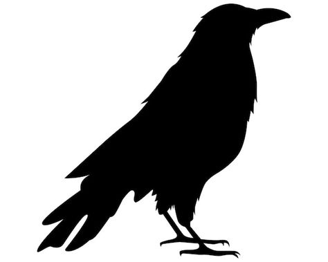 Vector black crow silhouette | Premium Vector #Freepik #vector #raven #crow #bird-illustration #tattoo-art Raven Template Free Printable, Crow Silhouette Free Printable, Raven Art Drawing, Raven Template, Crow Outline, Raven Stencil, Silhouette Art Ideas, Crow Icon, Crow Stencil