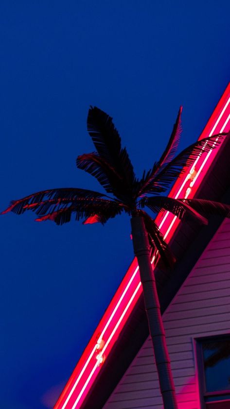 Jul 22, 2020 - This Pin was discovered by Zara Williamson. Discover (and save!) your own Pins on Pinterest Neon Palm Tree, Home Screen Wallpaper Hd, Whats Wallpaper, Palm Trees Wallpaper, Neon City, Wallpaper Iphone Neon, Neon Wallpaper, Iphone Wallpaper Photos, Tree Wallpaper