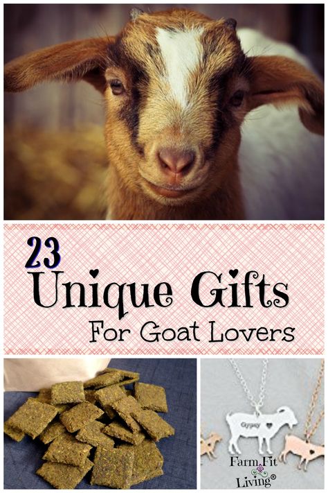 Goat Gifts, Goat Lover, Live Fit, About Christmas, Christmas Gift Ideas, Goats, Christmas Gift, Unique Gifts, Christmas Gifts