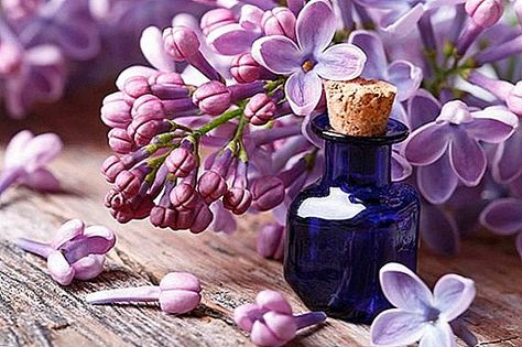 Lilac Essential Oil, Tinctures Recipes, Syringa Vulgaris, Crop Production, Clary Sage Essential Oil, Sage Essential Oil, Essential Oil Benefits, Oil Benefits, Lilac Flowers