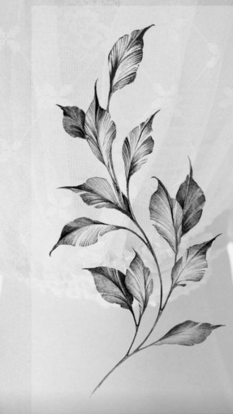 Realistic Leaf Tattoo, Monstera Leaves Drawing, Leaf Tattoo Men, Monstera Tattoo, Tattoo Real, Tattoo Arm Sleeve, Engraving Tattoo, Torso Tattoos, Men Tattoos Arm Sleeve